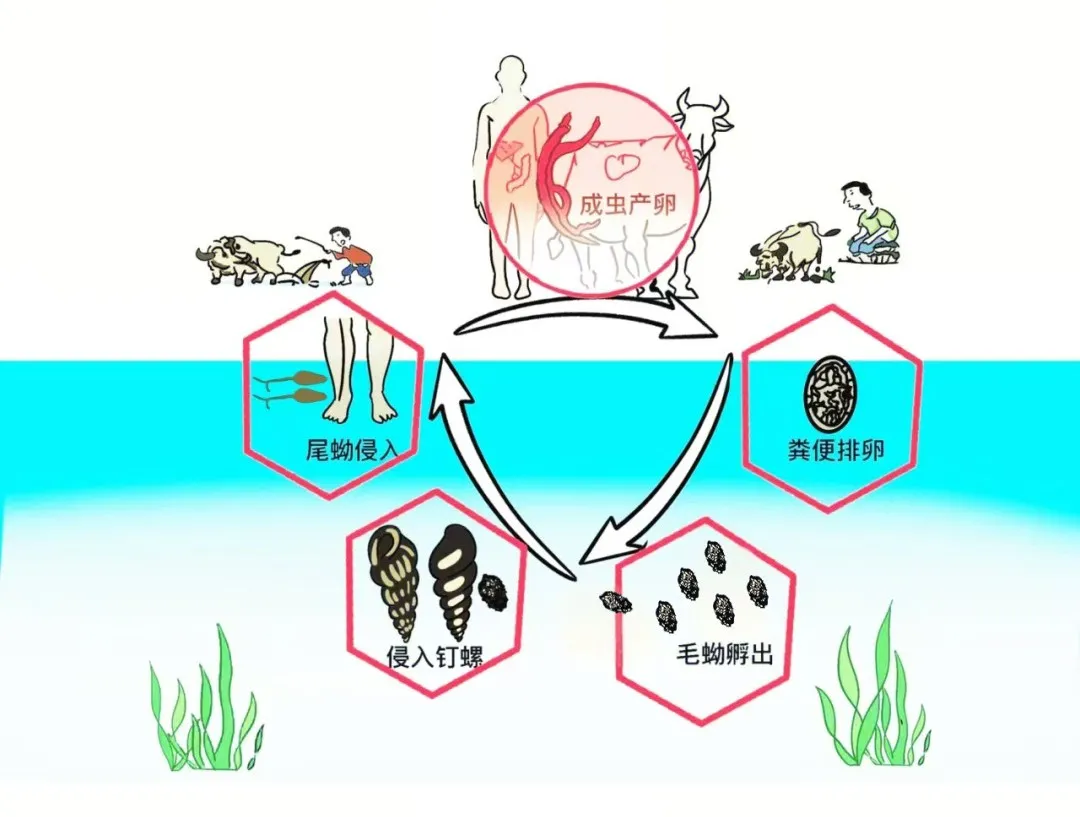 图片1.png 图片1.png